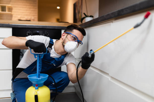 Best Emergency Pest Control  in Chepachet, RI