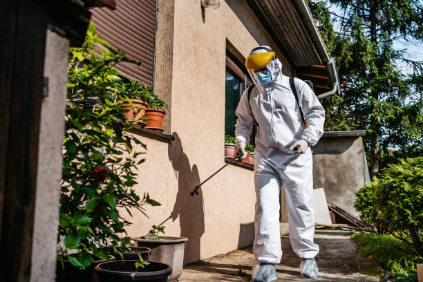 Best Pest Prevention Services  in Chepachet, RI