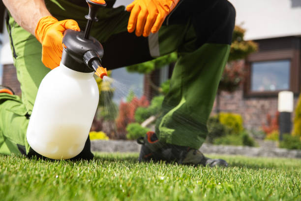 Best Rodent Control Near Me  in Chepachet, RI