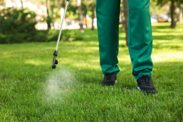 Best Pest Control Treatment  in Chepachet, RI