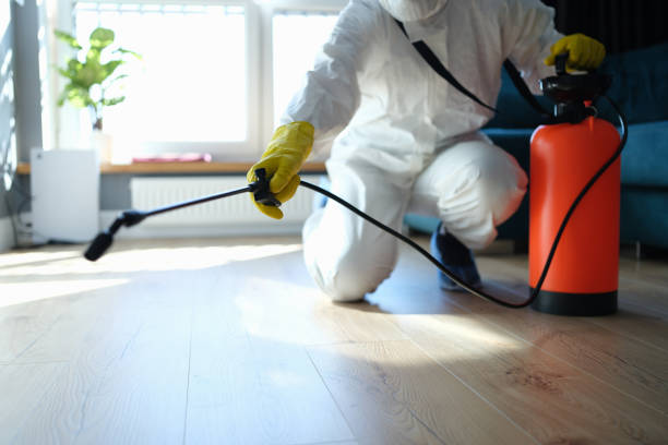 Best Wasp Removal Services  in Chepachet, RI