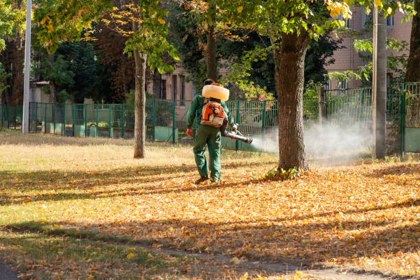 Best Commercial Pest Control Services  in Chepachet, RI