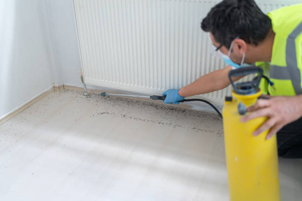 Trusted Chepachet, RI Pest Control Experts