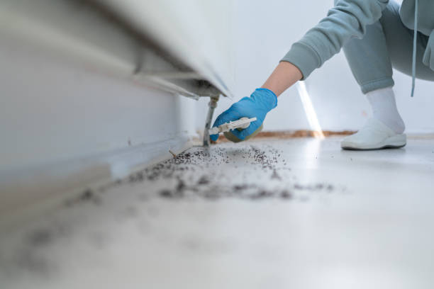 Best Pest Prevention Services  in Chepachet, RI